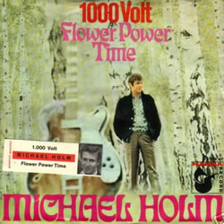 holm 1000 volt